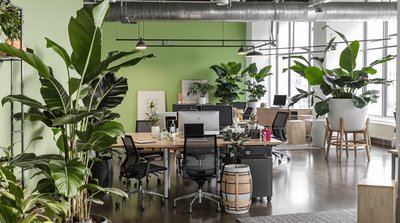 Büro im Industriestil mit Metallakzenten, grünen Wänden und großen Blattpflanzen