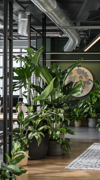 Büro im Industriestil mit Metallakzenten, grünen Wänden und großen Blattpflanzen