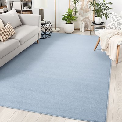 Minimalistisches Wohnzimmer mit hellblauem Teppich und neutral getönter Dekoration.